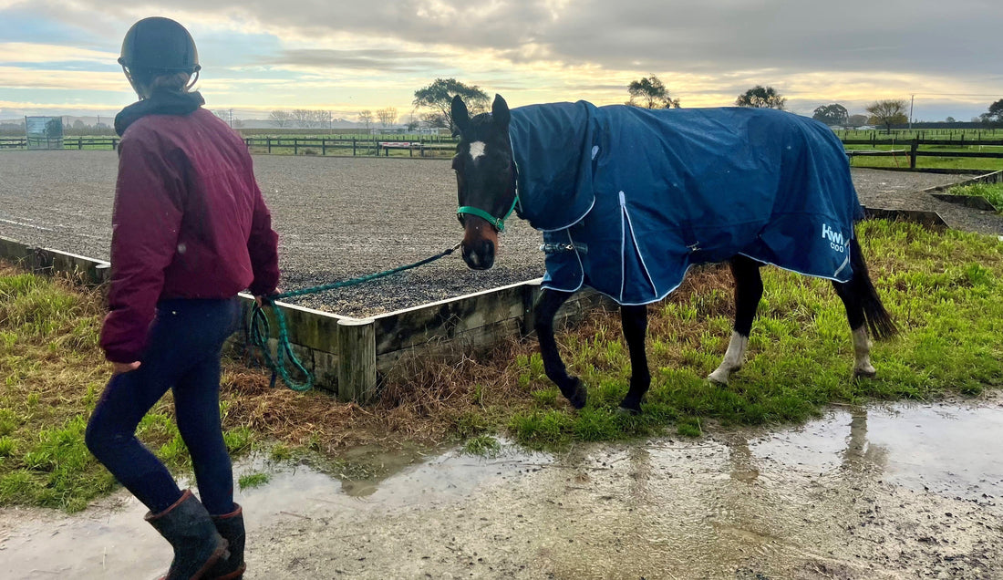 best horse rug waterproofer NZ 