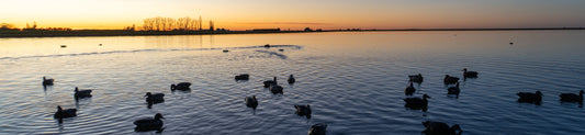 ready gear for duck shooting nz